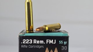 MUNICION STERLING .223 55GR FMJ