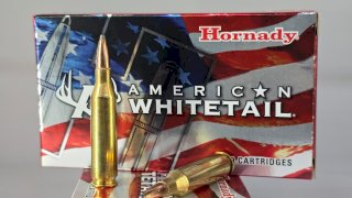 MUNICION HORNADY CAL .243 AMERICAN WHITETAIL 100 GRS BTSP 