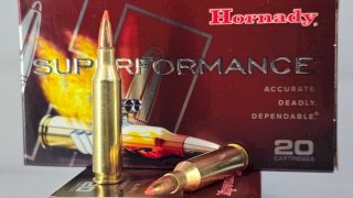 MUNICION HORNADY CAL .243 SST SPF 95 Gr SST