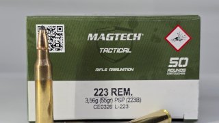 MUNICION MAGTECH CAL .223  55 Gr PSP