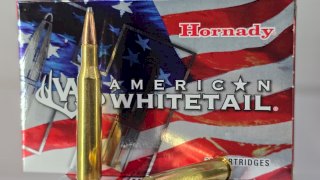 MUNICION HORNADY CAL. 270 WIN 140 GRS AW BTSP