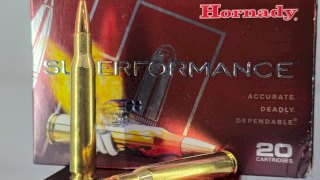 MUNICION HORNADY CAL .270 SST SPF 140 Gr