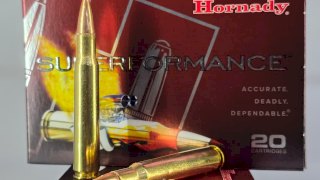 MUNICION HORNADY  SUPERFORMANCE CAL .30-06 180GR 180GR SST