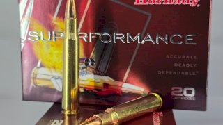 MUNICION HORNADY SUPERFORMANCE CAL. 30-06 165GR SST