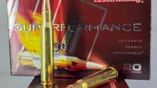 MUNICION HORNADY SUPERFORMANCE CAL .30-06 SPRG 150 Gr SST 