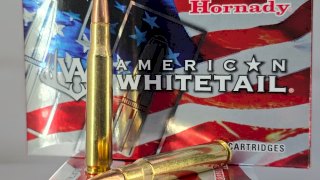 MUNICION HORNADY AMERICAN WHITETAIL CAL .30 06 SPRG 180GR