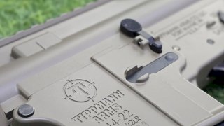 CARABINA TIPPMANN ARMS .22 M4-22 ELITE L FDE