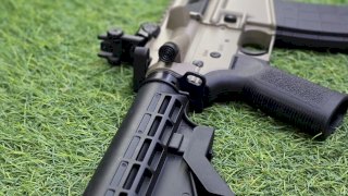 CARABINA TIPPMANN ARMS .22 M4-22 ELITE L FDE