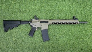 CARABINA TIPPMANN ARMS .22 M4-22 ELITE L FDE