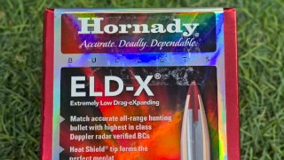 PUNTAS HORNADY CAL .338 - 230 Gr ELD-X