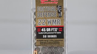 MUNICION HORNADY CAL .22 WMR 45GR FTX   