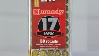 MUNICION HORNADY CAL .17 HMR XTP 20GR