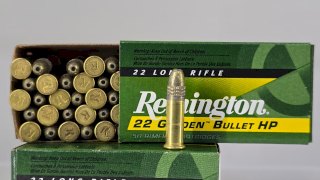 MUNICION REMINGTON CAL .22 LR GOLDEN BULLET 36GR