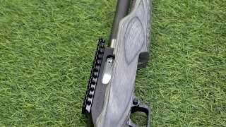 CARABINA MAGNUM RESEARCH CAL. 22 MLR-1722 SSEB22G THUMBOLT  CARABINA MAGNUM RESEARCH CAL. 22 MLR-1722 SSEB22G THUMBOLT