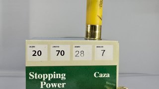 CARTUCHO STOPPING POWER CAL 20 28GR CAZA MUN 7