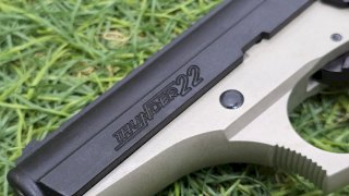 PISTOLA BERSA 22 THUNDER 22 DOS TONOS