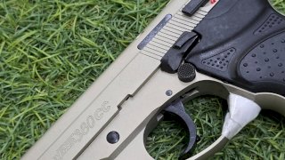 PISTOLA BERSA 380 THUNDER 380 CC NIKELADA 