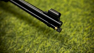 CARABINA  H001 HENRY A PALANCA CAL .22LR