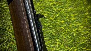 CARABINA  H001 HENRY A PALANCA CAL .22LR