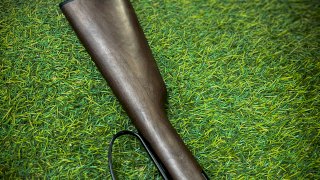 CARABINA  H001 HENRY A PALANCA CAL .22LR