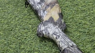 ESCOPETA HATSAN CAL 20 ESCORT BREAK UP 