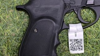 PISTOLA BERSA 380 FIRESTORM PAVON