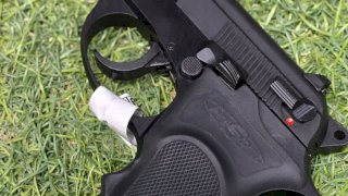 PISTOLA BERSA 380 FIRESTORM PAVON
