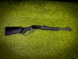 CARABINA RIO BRAVO A PALANCA CAL .22 ROSSI