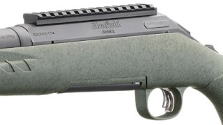 CARABINA GLENFIELD .308 GREEN/PAVON