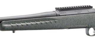 CARABINA GLENFIELD .308 GREEN/PAVON
