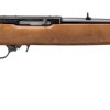 RUGER 22 LR 10/22 250 TH ANNIVERSARY