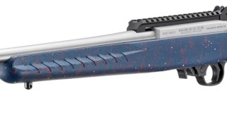 RUGER 22 LR 10/22 250 TH ANNIVERSARY