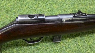 FM LIC. BERETTA 22 (USADA)