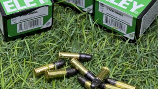 ELEY 22 SPORT SOLIDA/PLOMO 40 Gr - STD VELOCITY