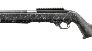 RUGER 22 LR 10/22 CARBON FIBER