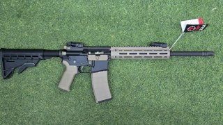 TIPPMANN ARMS 22LR M4-22 PRO L ARENA