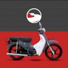GUERRERO ECONO 110 0KM
