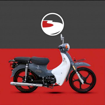 GUERRERO ECONO 110 0KM