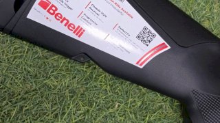 BENELLI 308 LUPO SINTETICO/PAVON
