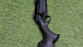 BENELLI 308 LUPO SINTETICO/PAVON