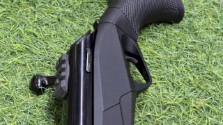 BENELLI 308 LUPO SINTETICO/PAVON