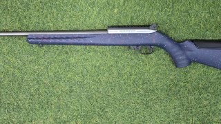 RUGER 22 LR 10/22 250 TH ANNIVERSARY