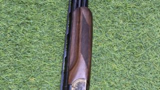 AKKAR 12 206 ORCAP NOGAL/PAVON