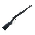 ROSSI 22LR RIO BRAVO - SINTETICO PAVON