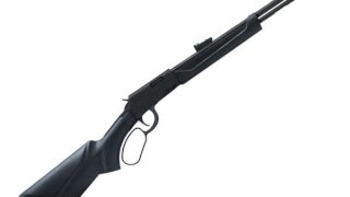 ROSSI 22LR RIO BRAVO - SINTETICO PAVON ROSSI 22LR RIO BRAVO - SINTETICO PAVON