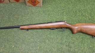 CZ 17 HMR 455 STD NOGAL/PAVÓN (USADA) CZ 17 HMR 455 STD NOGAL/PAVÓN (USADA)