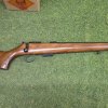 CZ 17 HMR 455 STD NOGAL/PAVÓN (USADA)