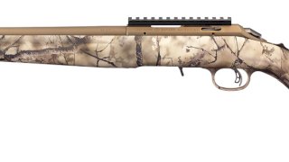 RUGER 22 LR AMERICAN RIMFIRE CAMO/BRONZE RUGER 22 LR AMERICAN RIMFIRE CAMO/BRONZE