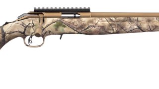 RUGER 22 LR AMERICAN RIMFIRE CAMO/BRONZE RUGER 22 LR AMERICAN RIMFIRE CAMO/BRONZE