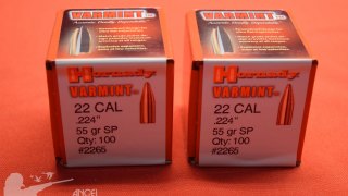 PUNTAS HORNADY .22/223 55 Gr SP 100